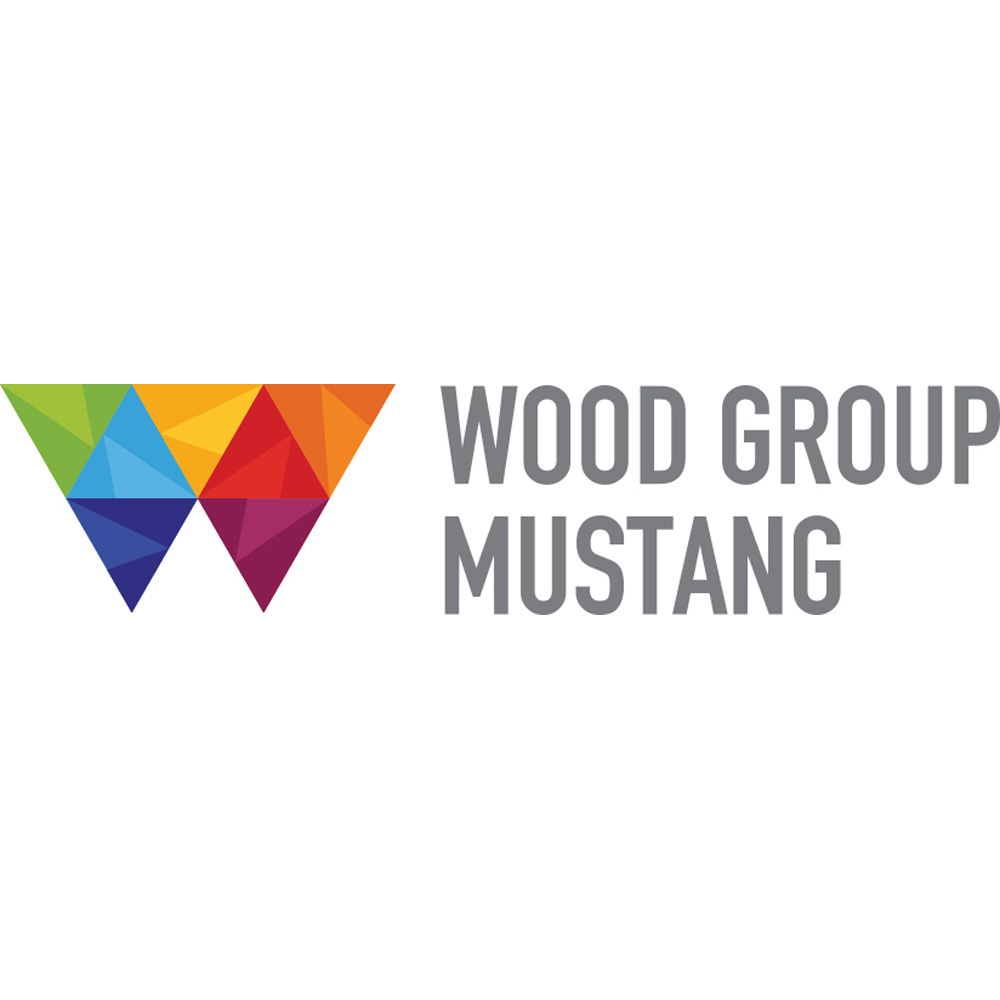 Wood Group Mustang - Formerly IMV Projects, Logo